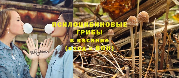 ГАЛЛЮЦИНОГЕННЫЕ ГРИБЫ Каменск-Шахтинский