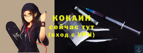 дмт Каменногорск