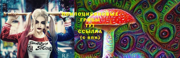 стафф Карталы