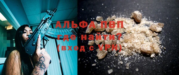 дмт Каменногорск