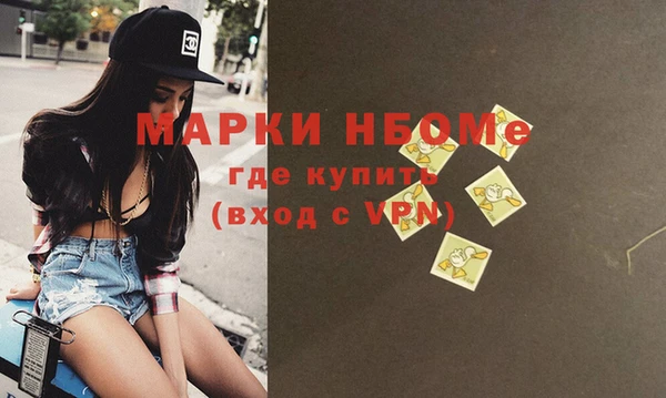 дмт Каменка