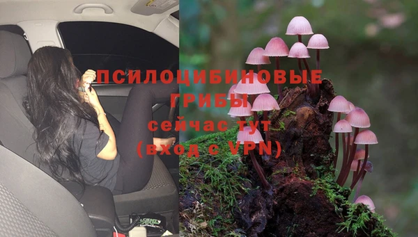 ГАЛЛЮЦИНОГЕННЫЕ ГРИБЫ Каменск-Шахтинский