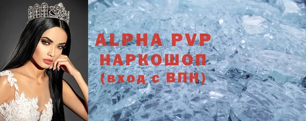 дмт Каменка